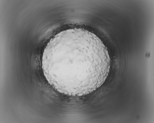 X0000113240918200909241543