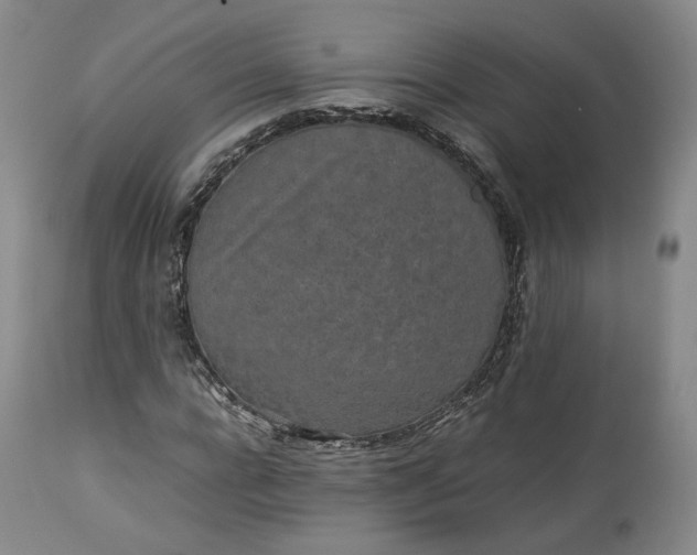 X0000113240920200909241543