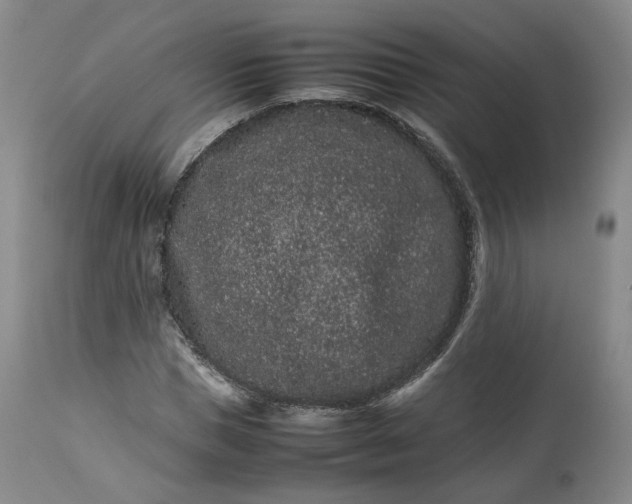 X0000113240921200909241543