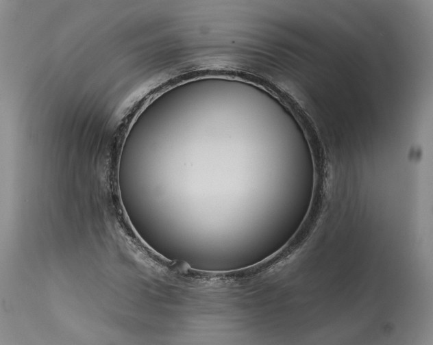 X0000113240922200909241543