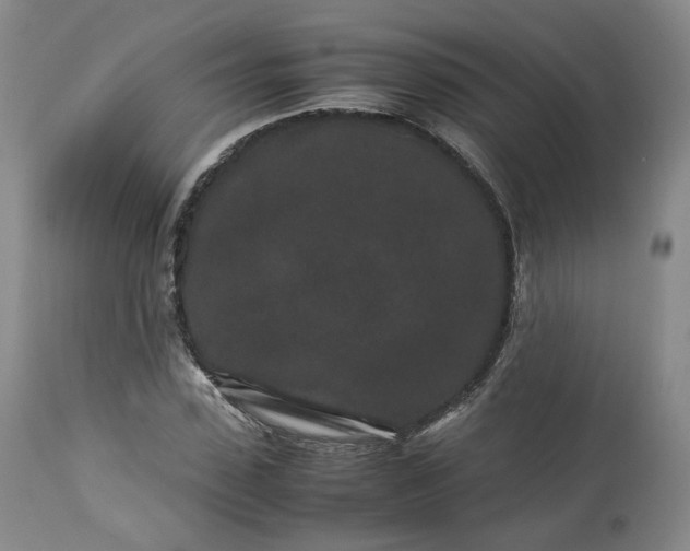 X0000113240923200909241543