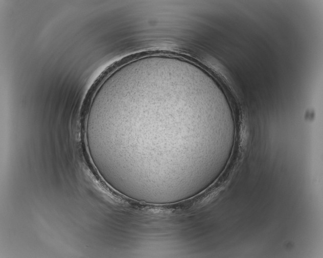 X0000113240924200909241543