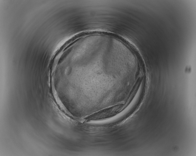 X0000113240925200909241543