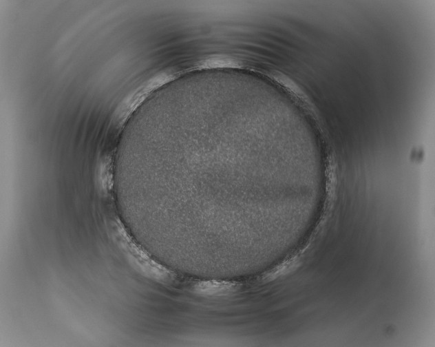 X0000113240929200909241543