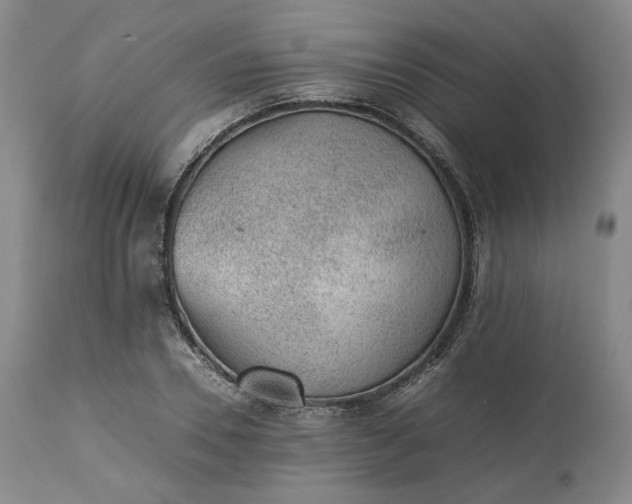 X0000113240930200909241543