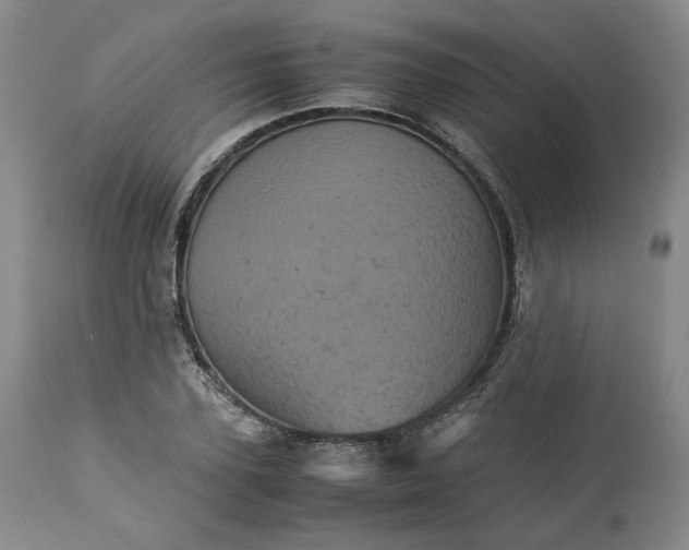 X0000113240931200909241543