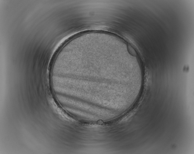 X0000113240932200909241543