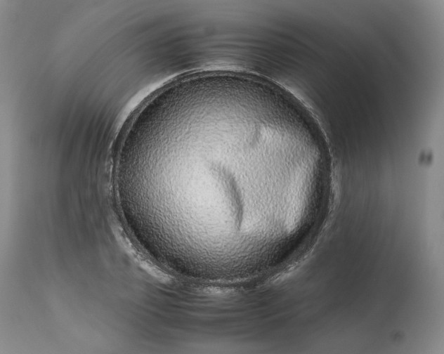 X0000113240933200909241543