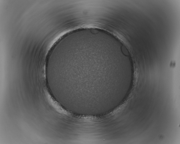 X0000113240934200909241543