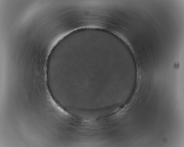 X0000113240935200909241543