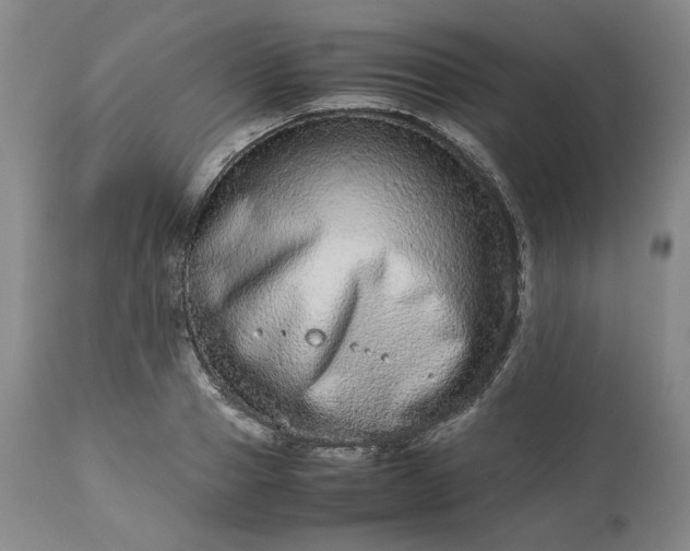 X0000113240937200909241543