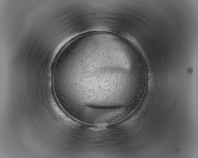 X0000113240939200909241543