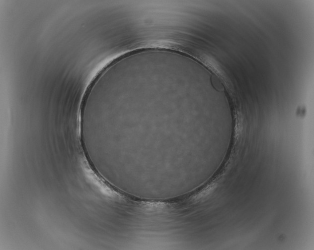 X0000113240940200909241543