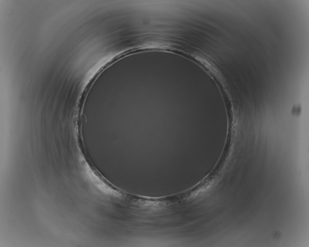 X0000113240941200909241543