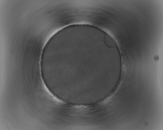 X0000113240943200909241543