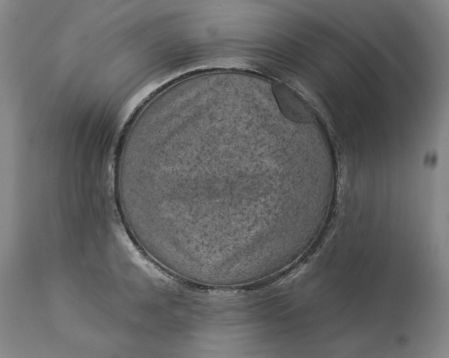 X0000113240944200909241543