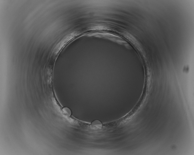 X0000113240945200909241543