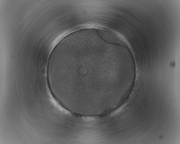 X0000113240946200909241543