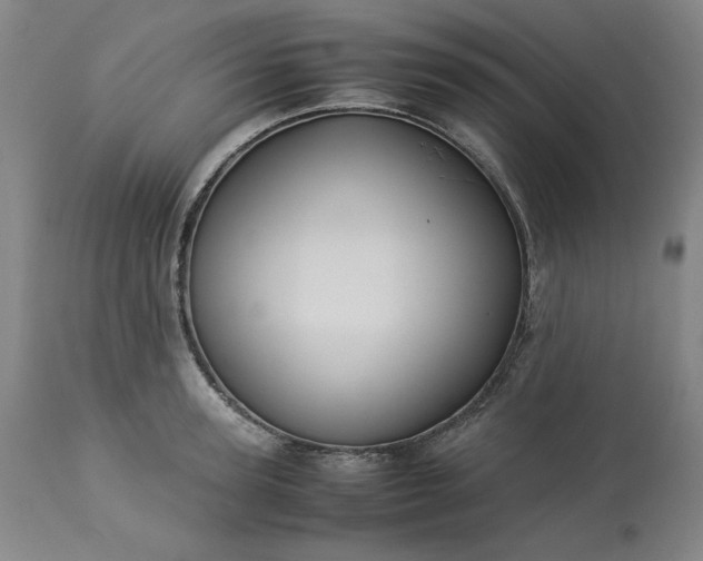 X0000113240947200909241543