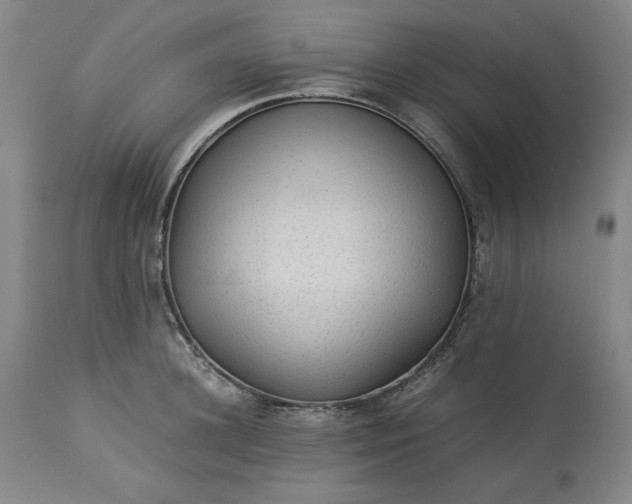 X0000113240948200909241543