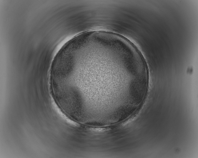 X0000113240949200909241543