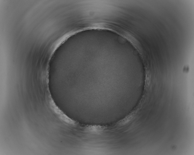 X0000113240950200909241543