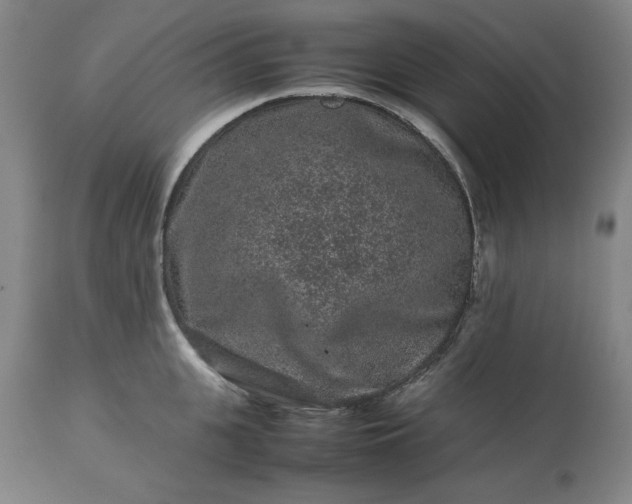 X0000113240951200909241543