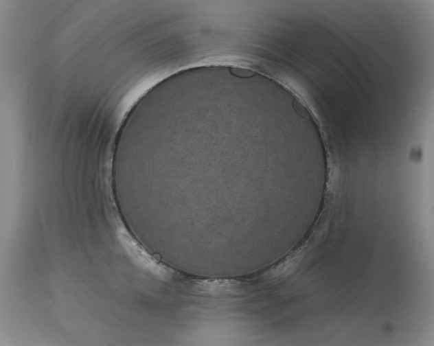 X0000113240952200909241543