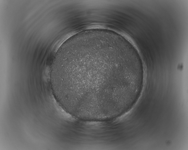 X0000113240953200909241543