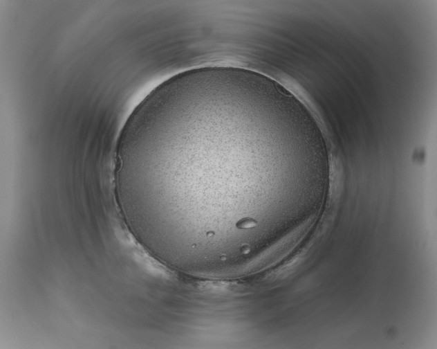 X0000113240956200909241543