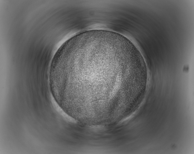 X0000113240957200909241543