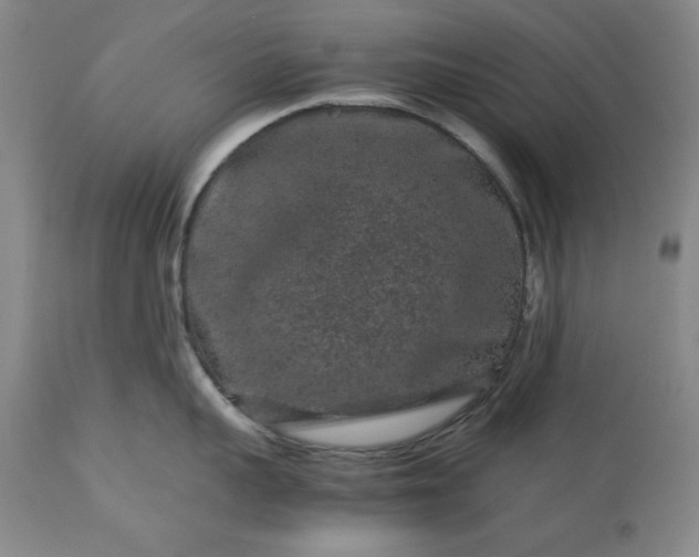 X0000113240959200909241543