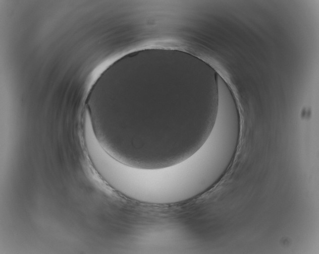 X0000113240960200909241543