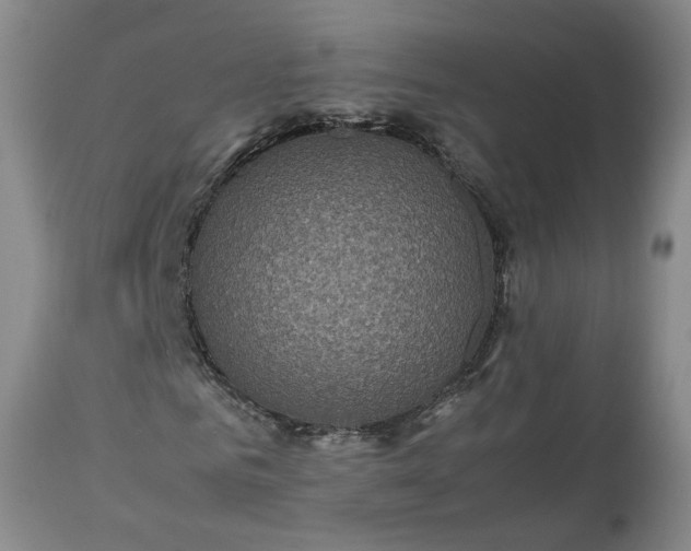 X0000113240961200909241542