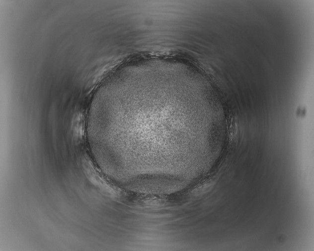 X0000113240962200909241542