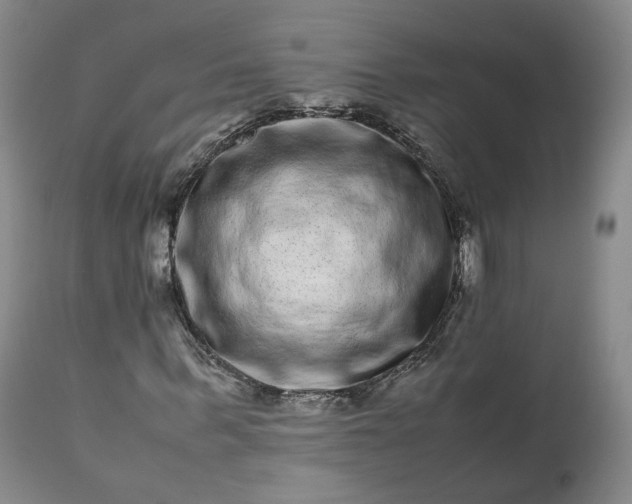 X0000113240963200909241542