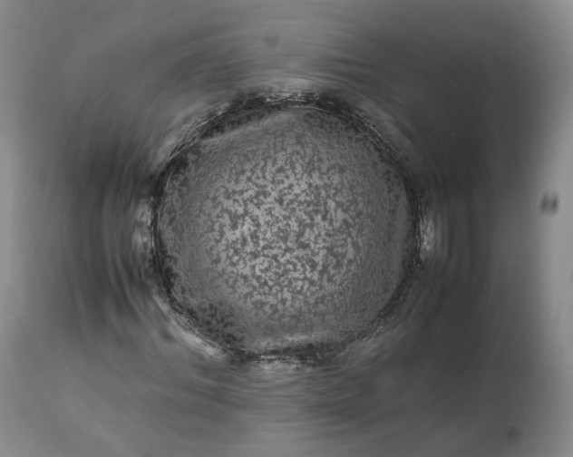 X0000113240964200909241542