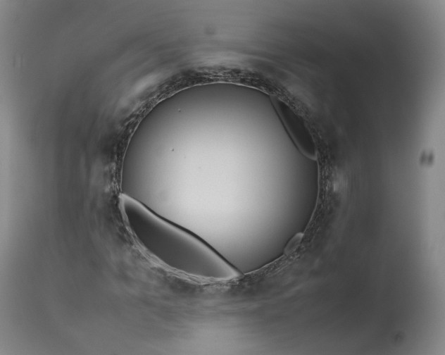 X0000113240965200909241542