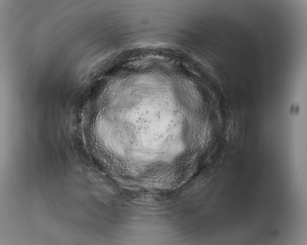 X0000113240966200909241542