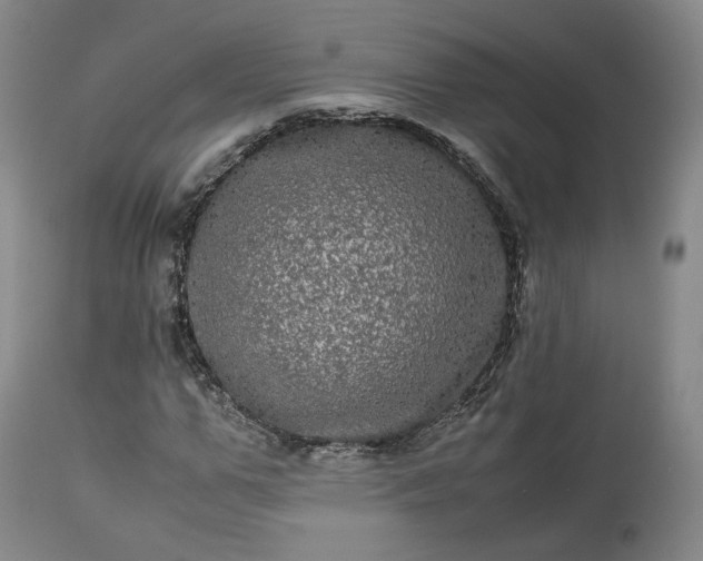 X0000113240967200909241542