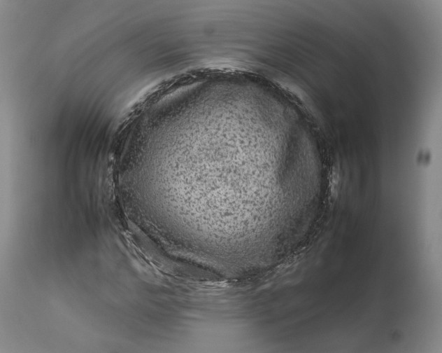 X0000113240968200909241542