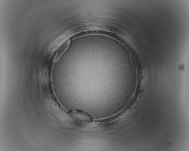 X0000113240969200909241542