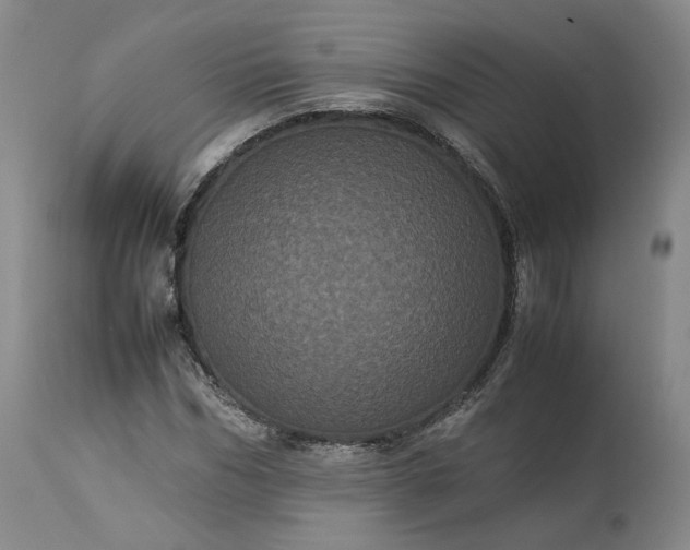 X0000113240970200909241542