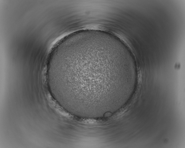 X0000113240971200909241542