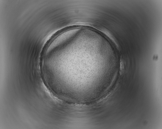 X0000113240972200909241542