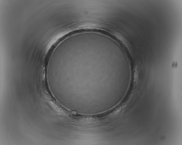 X0000113240973200909241542