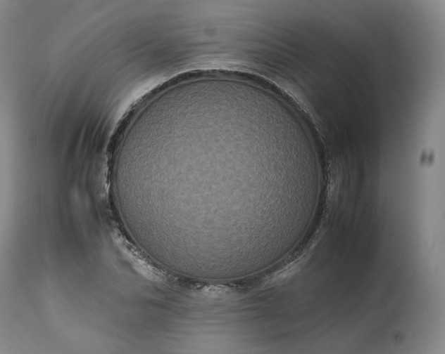 X0000113240974200909241542