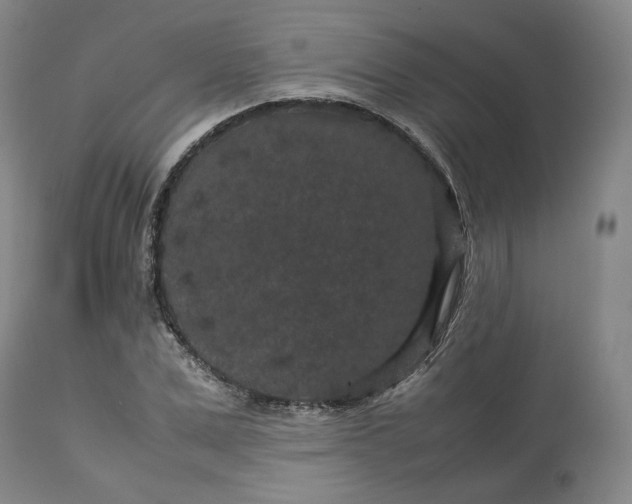 X0000113240975200909241542