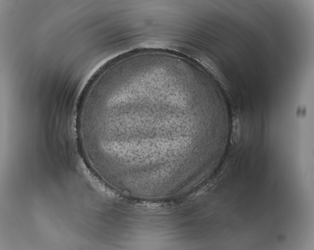 X0000113240976200909241542