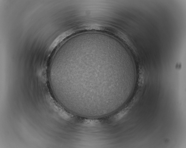 X0000113240978200909241542